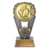 -gold Silver / gold rugby polaris with resin / metal construction