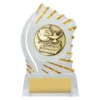 Clear with gold solar academic with acrylic construction