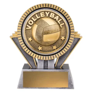 Silver & gold spartan - volleyball with resin construction