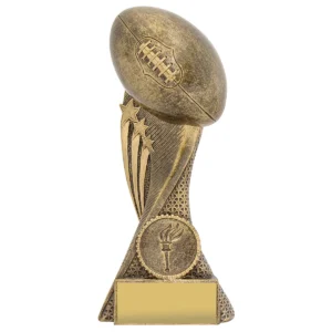 Gold star champion with resin construction