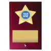 ga16a-red Red star plaque with glass construction