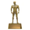 Gold swim male hero with resin construction