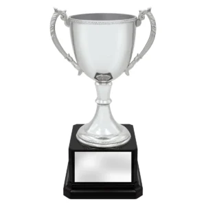 Silver ultimate silver cup with metal / plastic construction