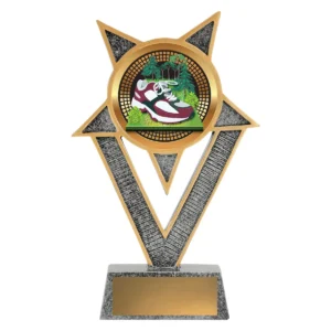 Silver ventura - cross country with resin construction