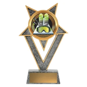Silver ventura - ski with resin construction