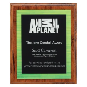 Green vivid green plaque with acrylic / timber construction
