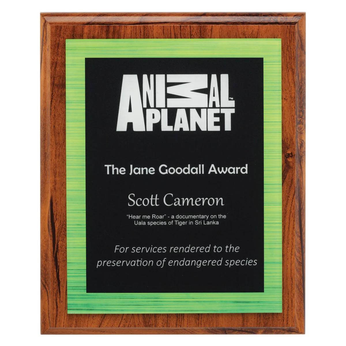 acw814-green Green vivid green plaque with acrylic / timber construction