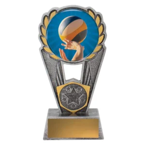 Silver volleyball polaris - colour with resin construction