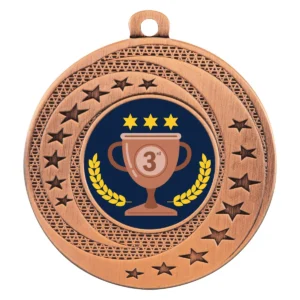 Bronze wayfare - 3rd place with metal construction