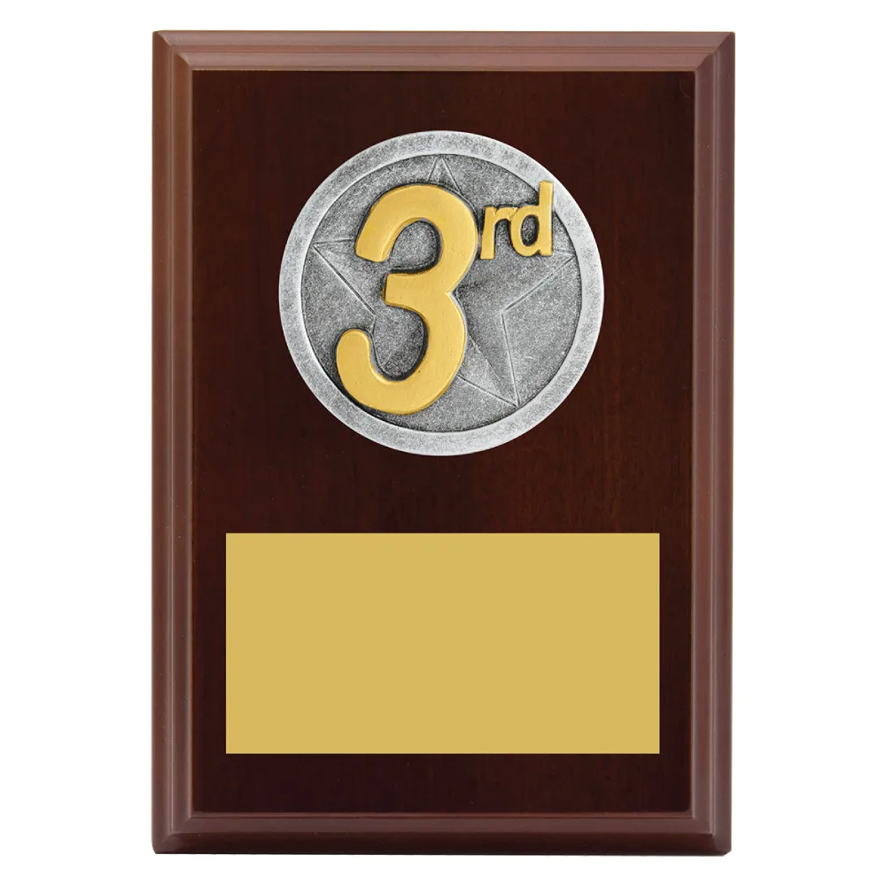3rd Place Peak Plaque small Walnut peak plaque 3rd place with timber construction