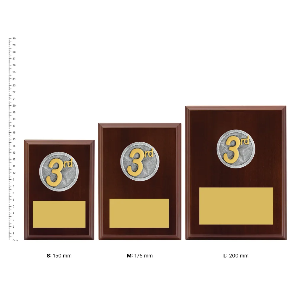 3rd Place Peak Plaque 3rd Place Peak Plaques next to ruler