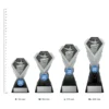 Academic Diamond Silver Academic Diamond Silver trophies next to ruler