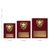 Academic Nova Plaque Academic Nova Plaques next to ruler