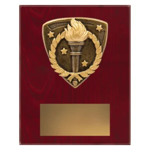 achievement plaque with torch and wreath emblem on a wooden plaque.