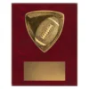 American football plaque with football emblem on a wooden plaque.