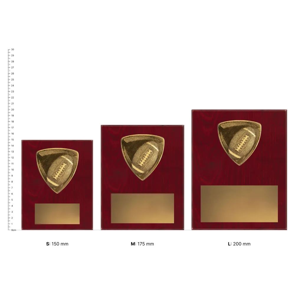 American Football Nova Plaques next to ruler
