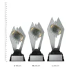 American Football Shadowcrest American Football Shadowcrest trophies next to ruler