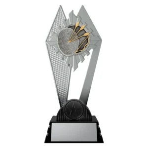 black and silver trophy with archery target and arrows