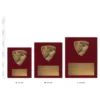 Athletics Nova Plaque Athletics Nova Plaque trophies next to ruler