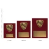 Aussie Rules Nova Plaque Aussie Rules Nova Plaques next to ruler