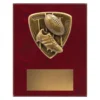 Aussie Rules Nova Plaque small aussie rules plaque with boot, ball and goal posts emblem on a wooden plaque.