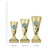 Carnival Cup Carnival Cup trophies next to ruler