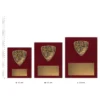 Cross Country nova plaque Cross Country nova plaque trophies next to ruler