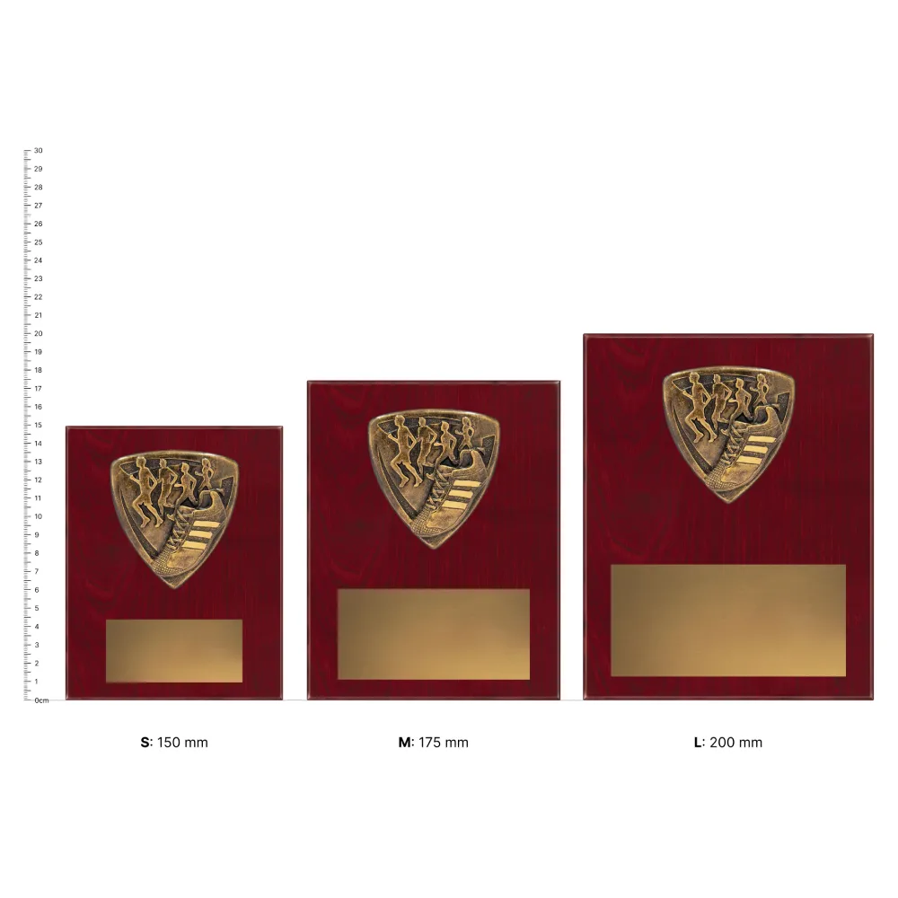 Cross Country nova plaque Cross Country nova plaque trophies next to ruler