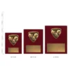 Football Nova Plaque trophies next to ruler