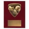 football plaque with boot, ball and goal emblem on a wooden plaque.