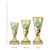 Genius Carnival Cup Genius Carnival Cup trophies next to ruler