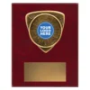 Nova Plaques small award plaque with insert and emblem on a wooden plaque.