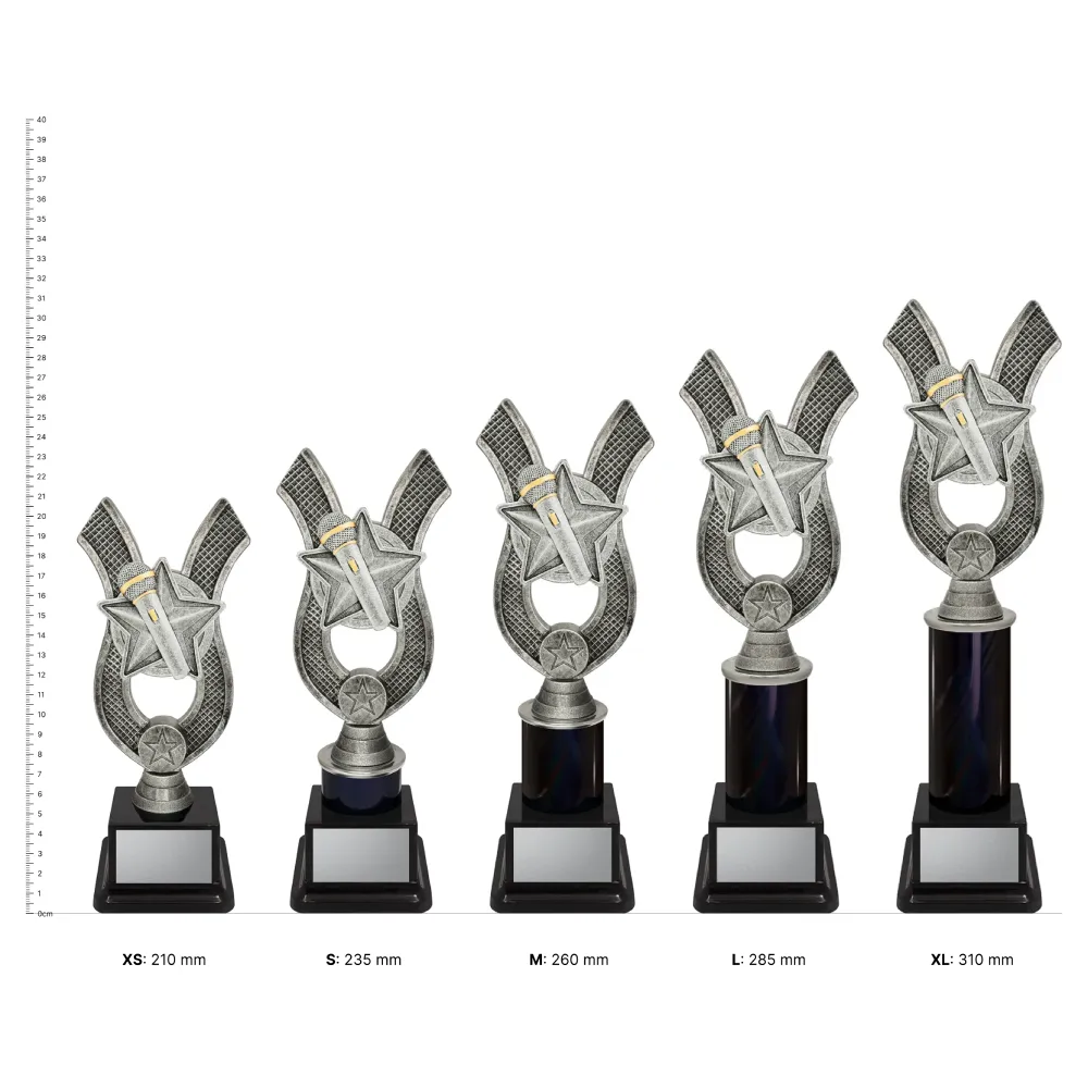 Public Speaking Anchor Public Speaking Anchor trophies next to ruler