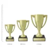 Sunbeam Cup Sunbeam Cup trophies next to ruler