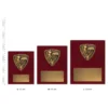 Track & Field Nova Plaque Track & Field Nova Plaques next to ruler