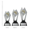 Trivia Shadowcrest Trivia Shadowcrest trophies next to ruler