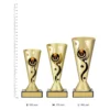 Victory Carnival Cup Victory Carnival Cup trophies next to ruler