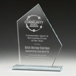 vista glass award with glass construction
